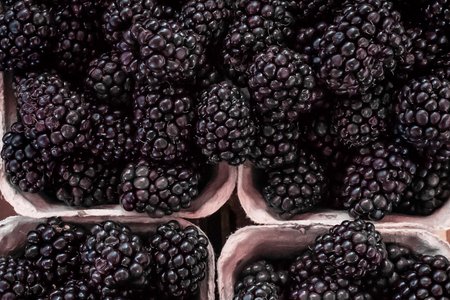 blackberries, raw