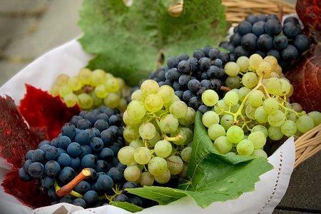 grapes, red or green, raw
