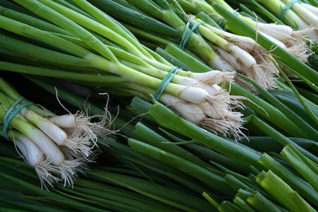 spring onions or scallions, raw